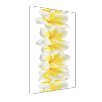 Staand foto op plexiglas Plumeria