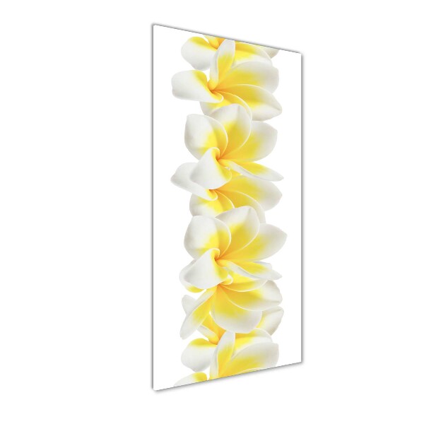 Staand foto op plexiglas Plumeria