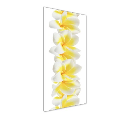 Staand foto op plexiglas Plumeria