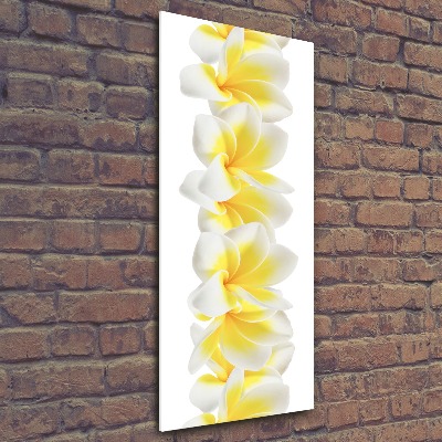 Staand foto op plexiglas Plumeria
