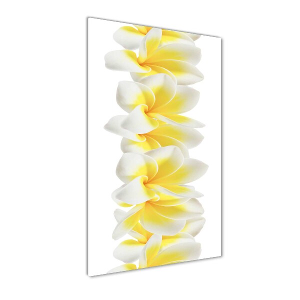Staand foto op plexiglas Plumeria