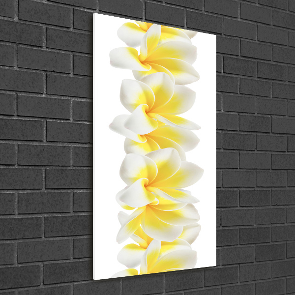 Staand foto op plexiglas Plumeria