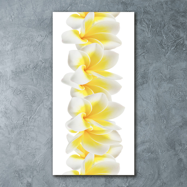 Staand foto op plexiglas Plumeria