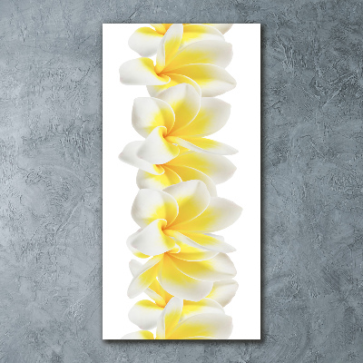 Staand foto op plexiglas Plumeria