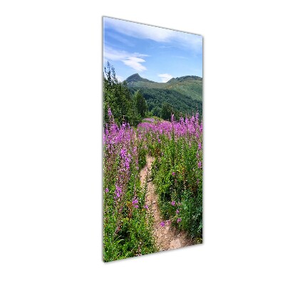 Staand plexiglas foto Bieszczady