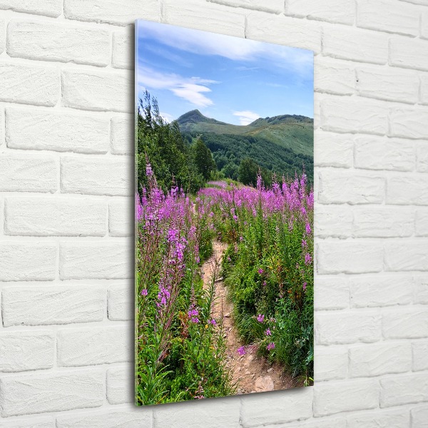 Staand plexiglas foto Bieszczady