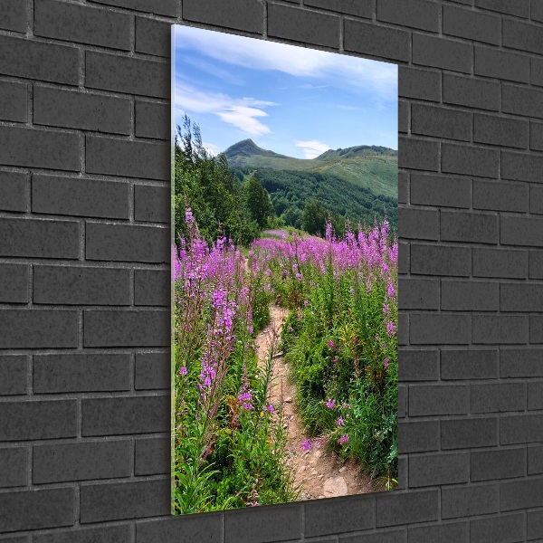 Staand plexiglas foto Bieszczady