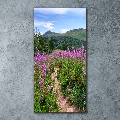 Staand plexiglas foto Bieszczady