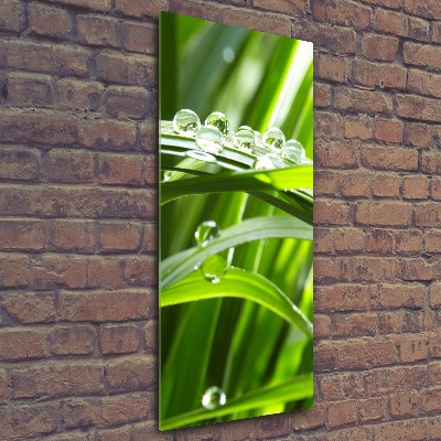 Staand plexiglas foto grassprieten