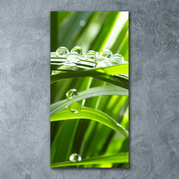 Staand plexiglas foto grassprieten