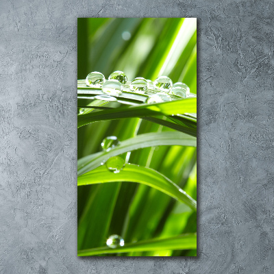 Staand plexiglas foto grassprieten