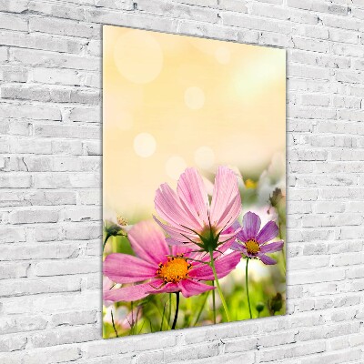 Staand foto plexiglas Wilde bloemen