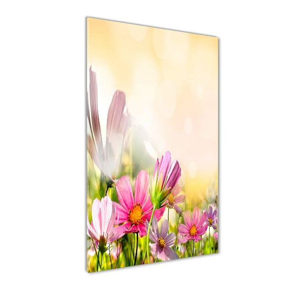 Staand foto plexiglas Wilde bloemen