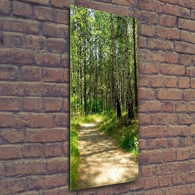 Staand foto plexiglas Berkenbos