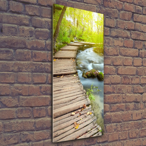 Staand foto op plexiglas Pad in het bos