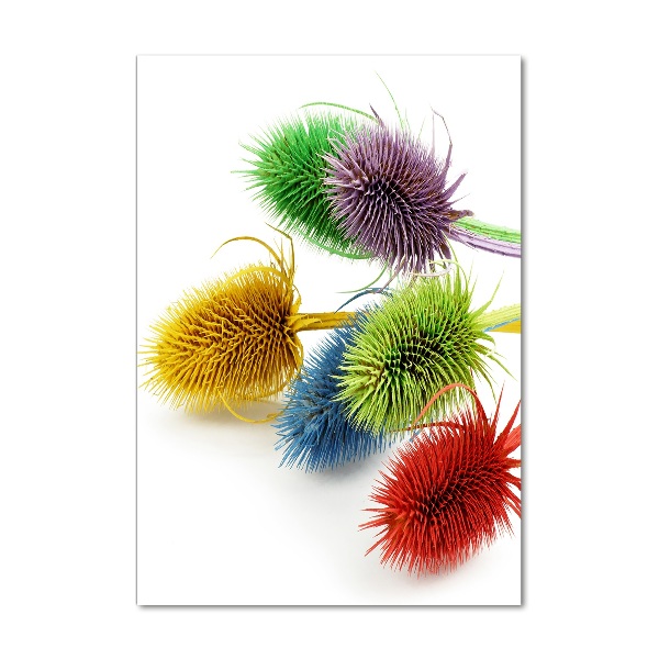 Staand plexiglas foto Distel