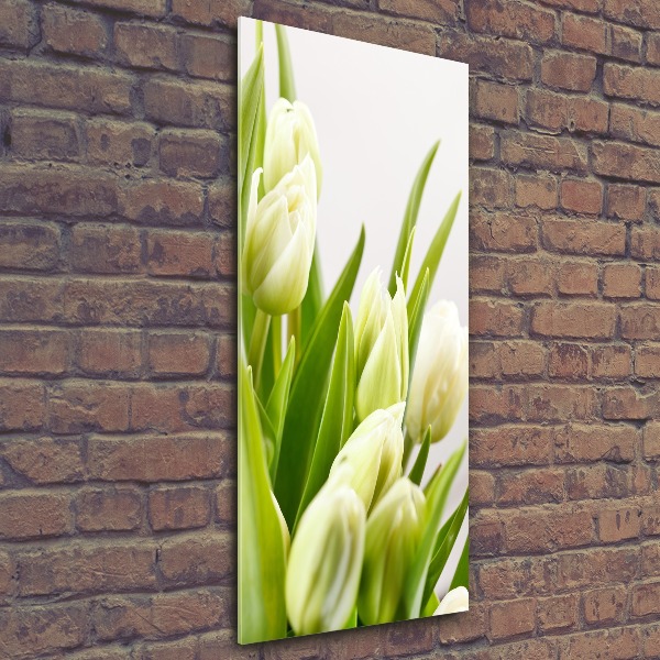 Staand foto op plexiglas Witte tulpen
