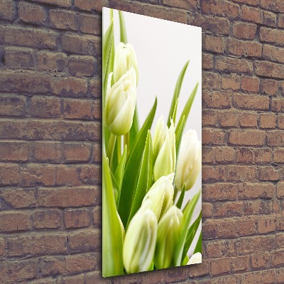 Staand foto op plexiglas Witte tulpen