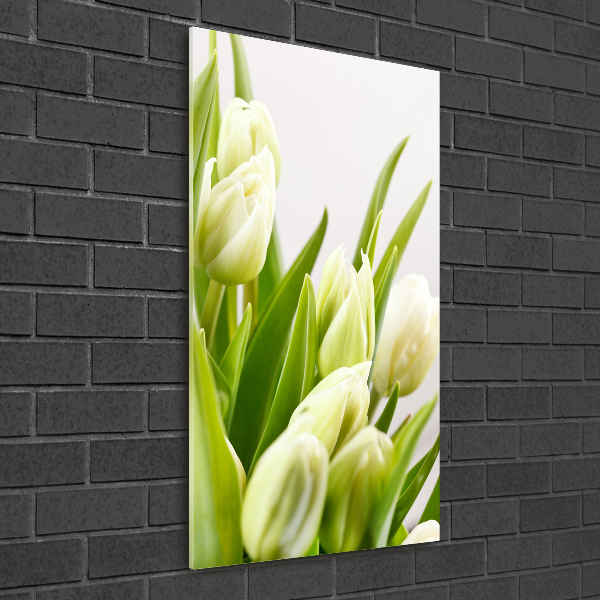 Staand foto op plexiglas Witte tulpen