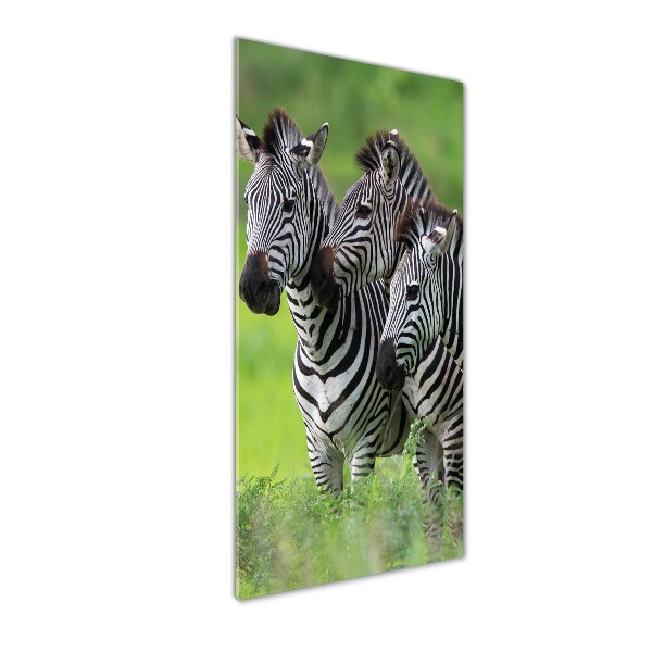 Staand plexiglas foto Drie zebra's