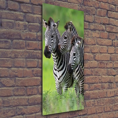Staand plexiglas foto Drie zebra's