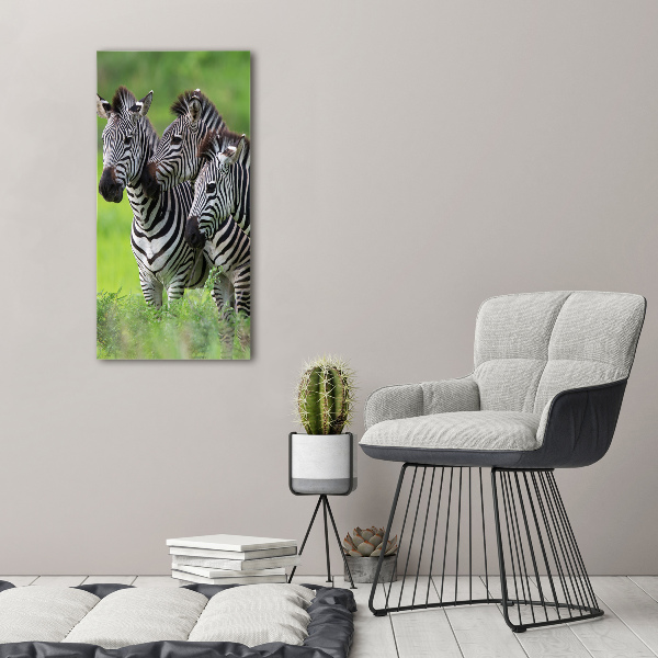 Staand plexiglas foto Drie zebra's