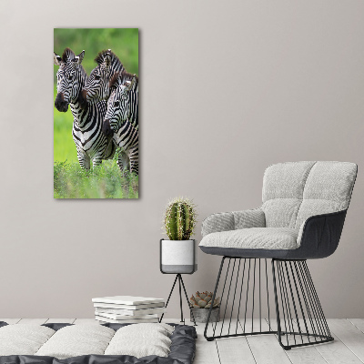 Staand plexiglas foto Drie zebra's