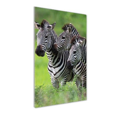 Staand plexiglas foto Drie zebra's