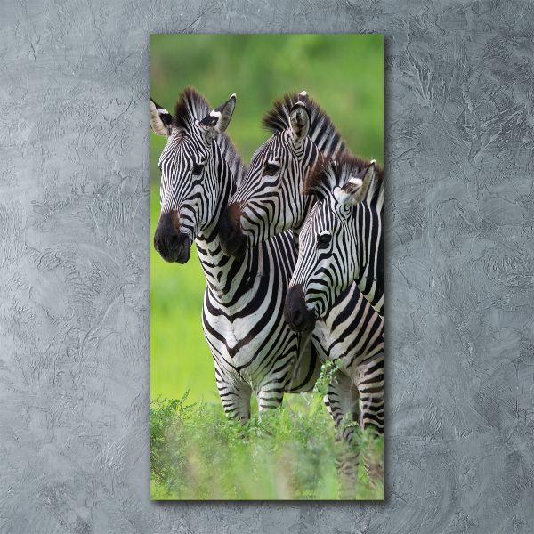 Staand plexiglas foto Drie zebra's