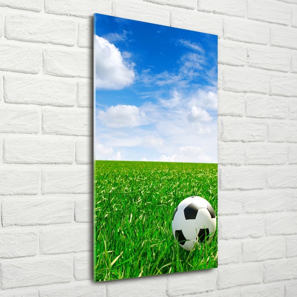 Staand foto op plexiglas Voetbal op het veld