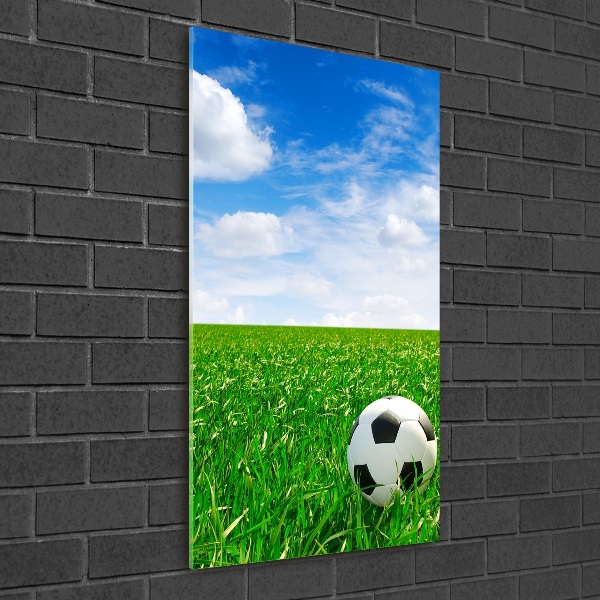 Staand foto op plexiglas Voetbal op het veld
