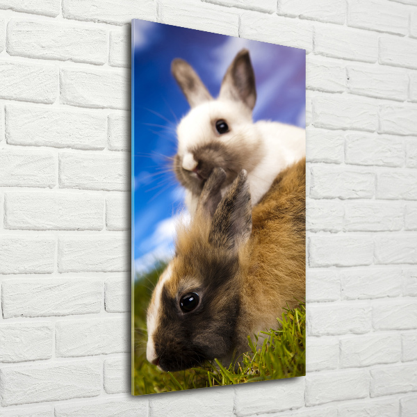 Staand foto plexiglas Twee konijnen
