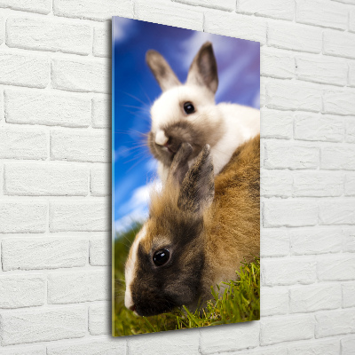 Staand foto plexiglas Twee konijnen