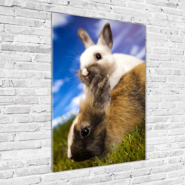 Staand foto plexiglas Twee konijnen