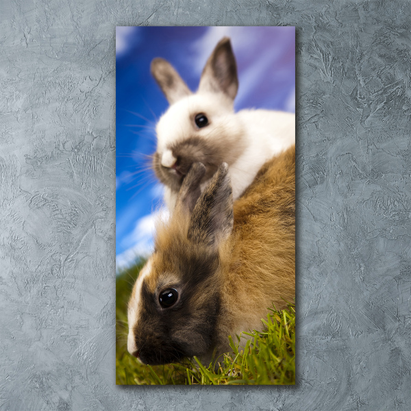 Staand foto plexiglas Twee konijnen