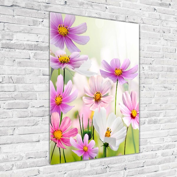 Staand foto plexiglas Wilde bloemen