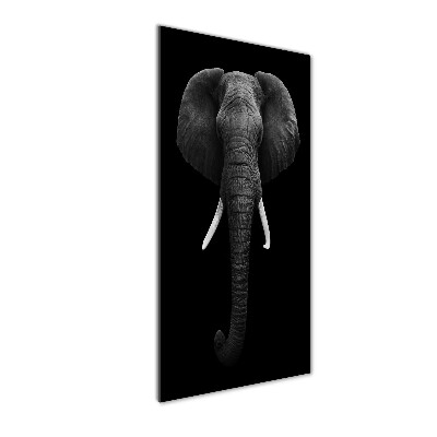 Staand foto in plexiglas Afrikaanse olifant