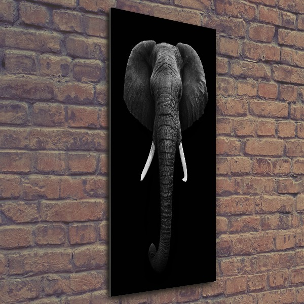 Staand foto in plexiglas Afrikaanse olifant