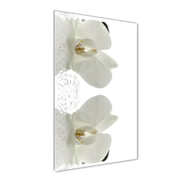 Staand foto in plexiglas Orchidee en stenen