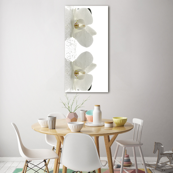 Staand foto in plexiglas Orchidee en stenen