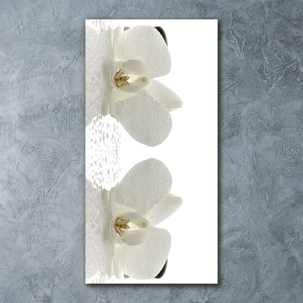 Staand foto in plexiglas Orchidee en stenen