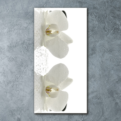 Staand foto in plexiglas Orchidee en stenen