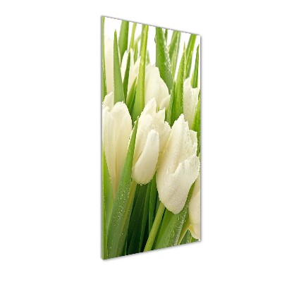 Staand foto op plexiglas Witte tulpen