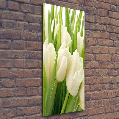 Staand foto op plexiglas Witte tulpen