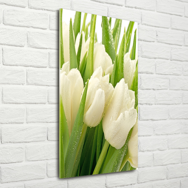 Staand foto op plexiglas Witte tulpen