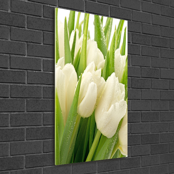 Staand foto op plexiglas Witte tulpen