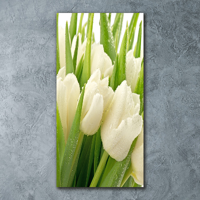 Staand foto op plexiglas Witte tulpen