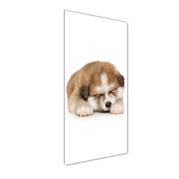 Staand foto op plexiglas Akita-puppy