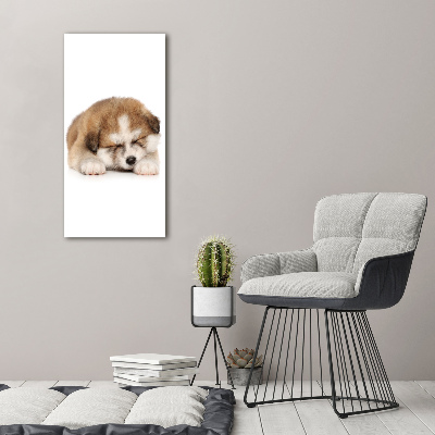 Staand foto op plexiglas Akita-puppy