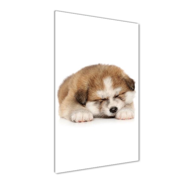 Staand foto op plexiglas Akita-puppy
